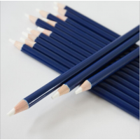 Revise Details Perfection Eraser Pencil